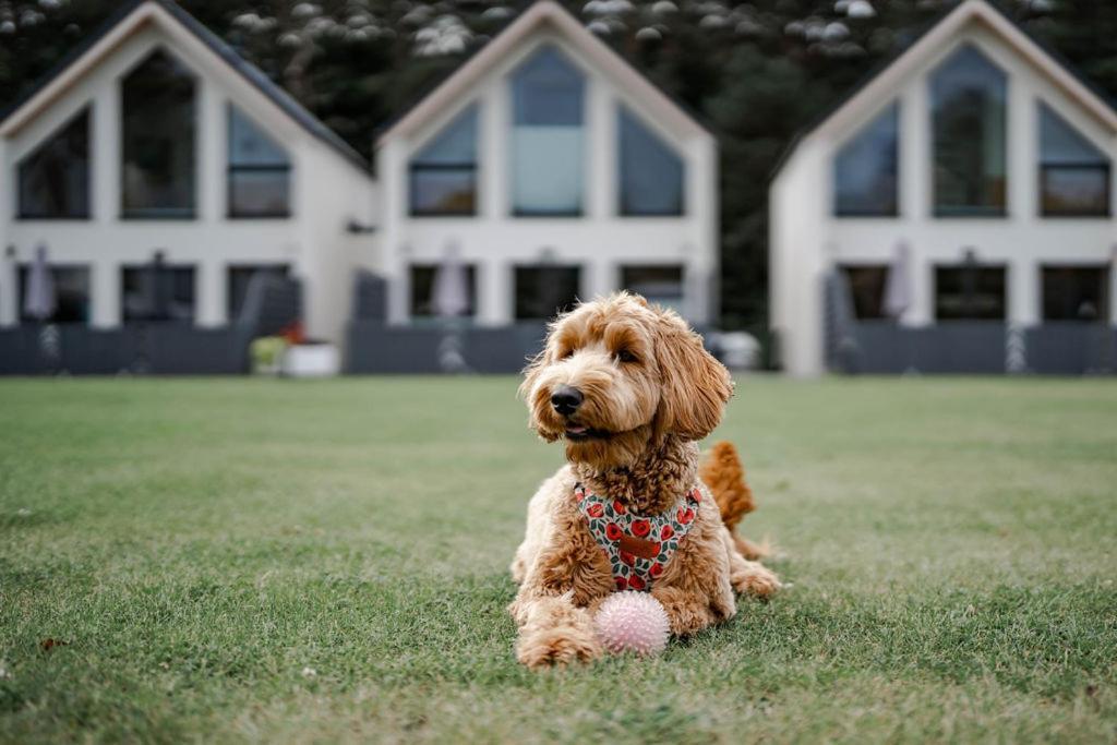 Domy Morskie Dog Friendly Jantar Exterior foto